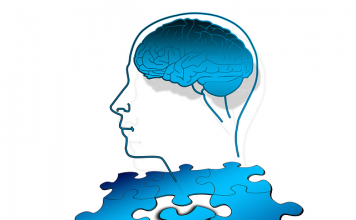 Retrouver de la mémoire en cas de lésions cérébrales, de traumatisme crânien ou d’AVC
