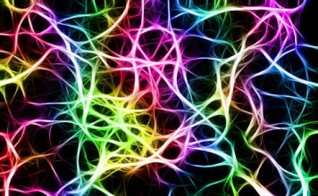 Des multiples traumatismes crâniens à l’adolescence facteurs de déclenchement de la Sclérose En Plaques (SEP) ?