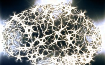 Un logiciel pour prédire les symptômes des patients atteints de lésions cérébrales ?