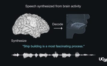 Perte de la parole : un décodeur du cerveau pour la reproduire