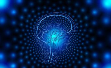 L’intelligence artificielle pour prédire la gravité des lésions cérébrales ?