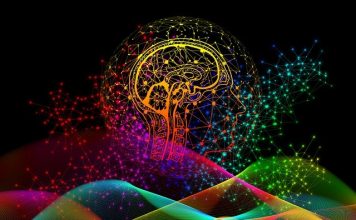 Traumatisme crânien léger: 15 minutes pour faire un diagnostic?